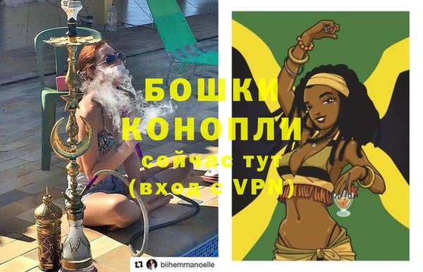 apvp Гусиноозёрск