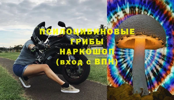 каннабис Гусев