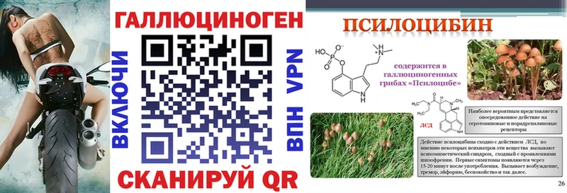 hydra маркетплейс  продажа наркотиков  Елизово  Псилоцибиновые грибы ЛСД 