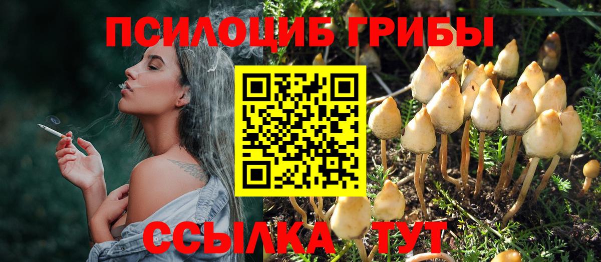 Елизово  Псилоцибиновые грибы ЛСД  Галлюциногенные грибы Psilocybine cubensis  цены наркотик  Вход с VPN 