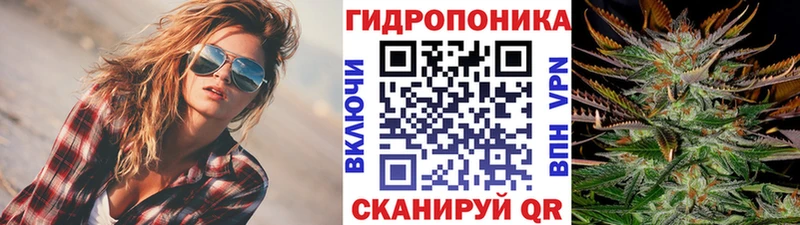 Бошки марихуана планчик  купить  сайты  Елизово 